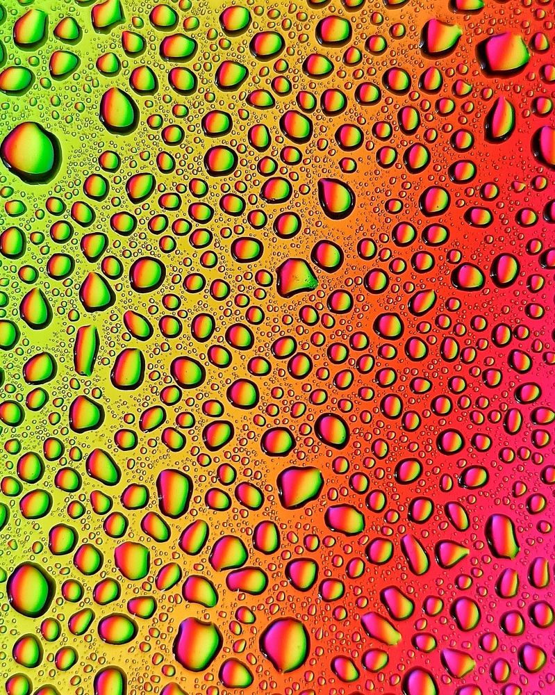 Фотография автора Rohit Maurya