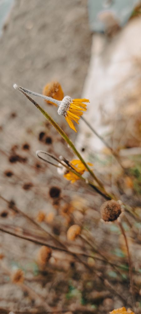 Photograph by Ирина Джиоева