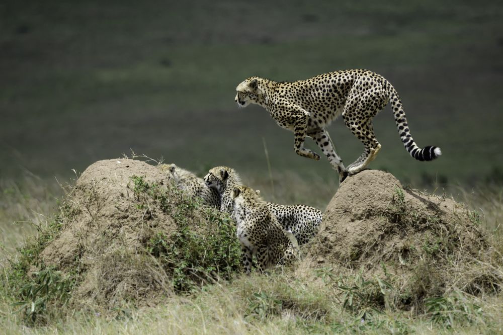 Photograph by Vignesh Ramachandran