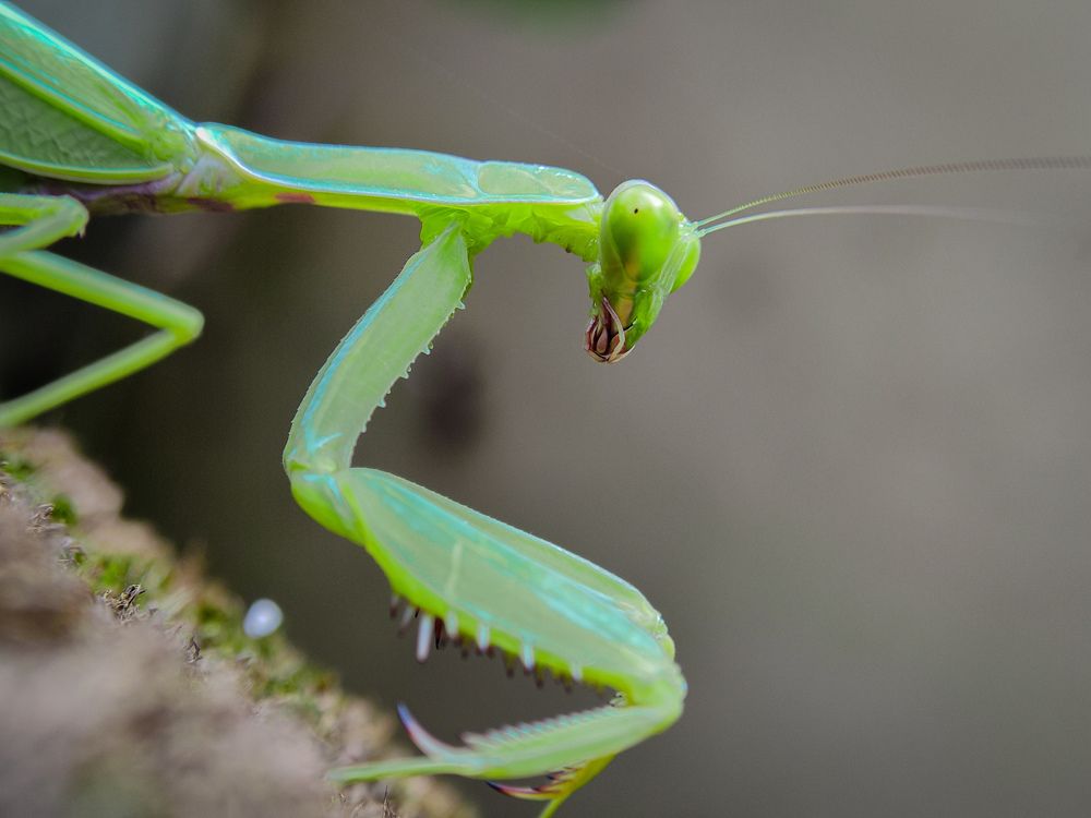 Photograph by Mohit kumar bisoyi