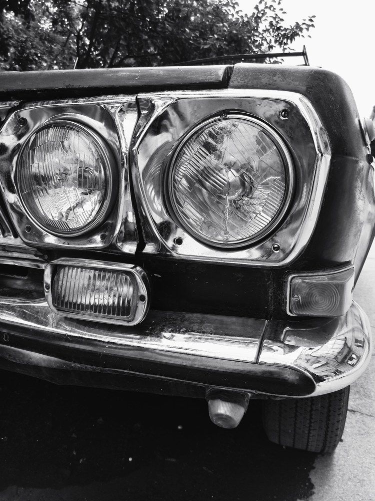 Photograph by Natalie Dmay