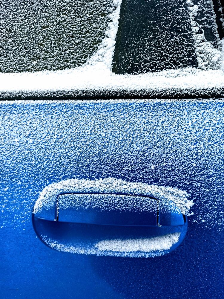 Photograph by Natalie Dmay