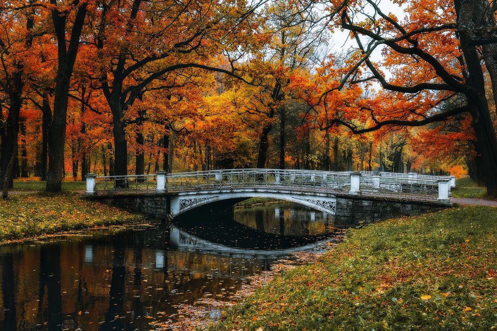 Фотография автора Майя Афзаал