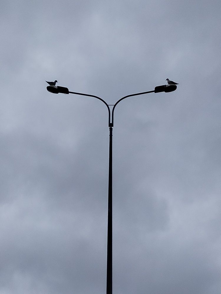 Photograph by Шикова Татьяна