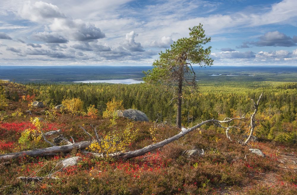 Photograph by Светлана Краюшкина