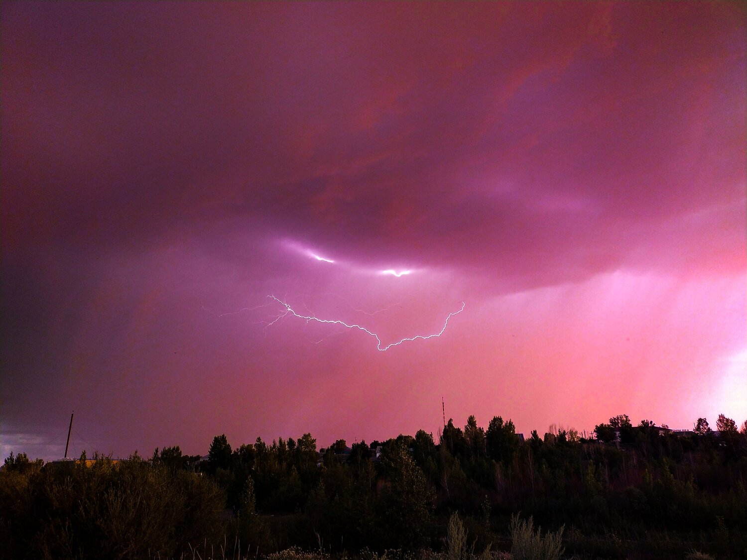 Photo #6632818