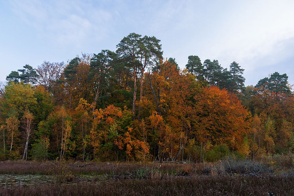 Photograph by Геннадий Новов