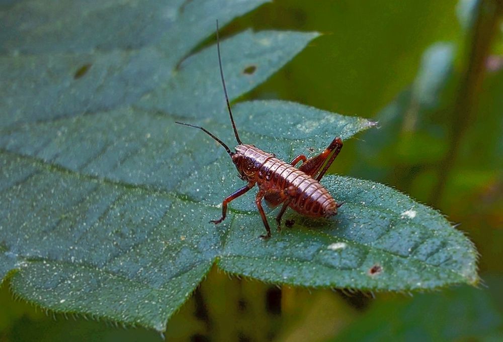 Photograph by Epp Tappel