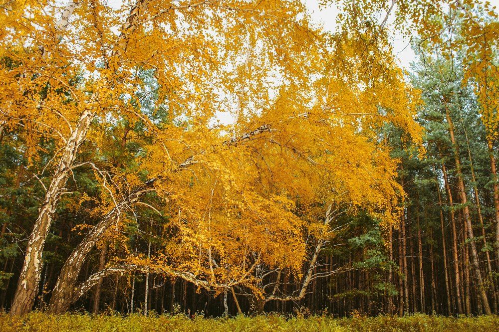 Photograph by Алия Аткельтирова