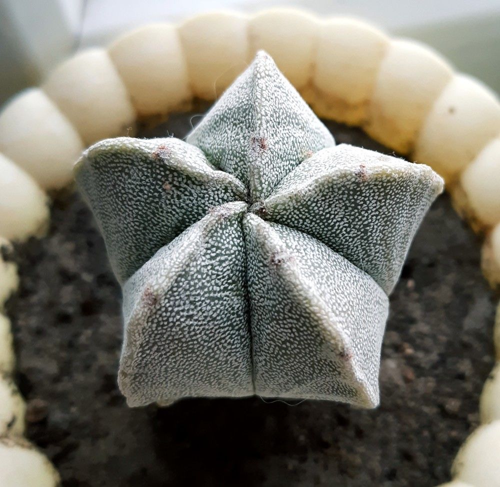 Фотография автора Ирина Лукьянчик