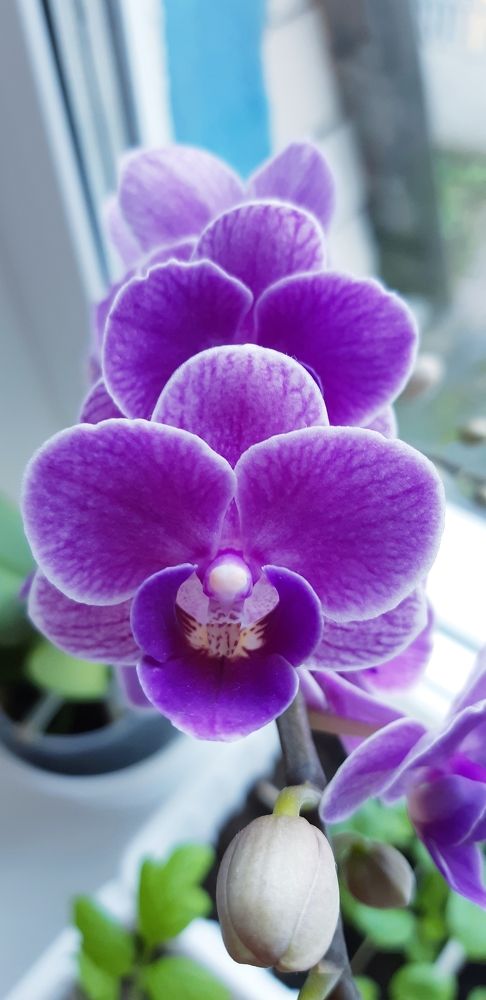 Фотография автора Ирина Лукьянчик