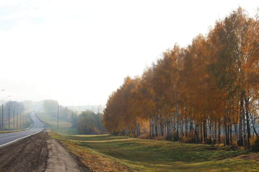 Photograph by Марина Иванникова