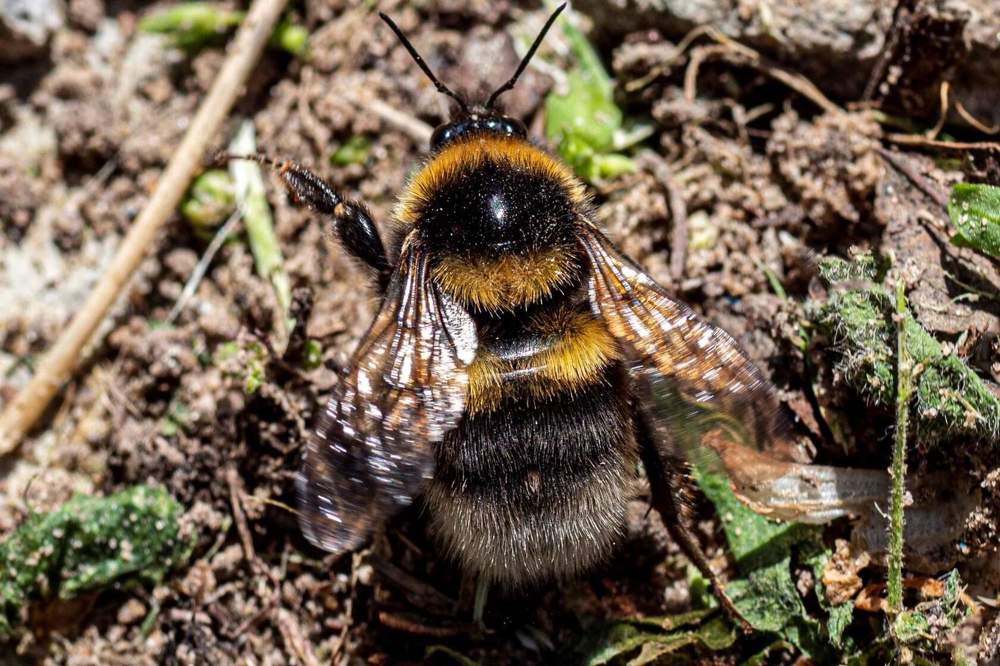 Photograph by Андрей Ныриков