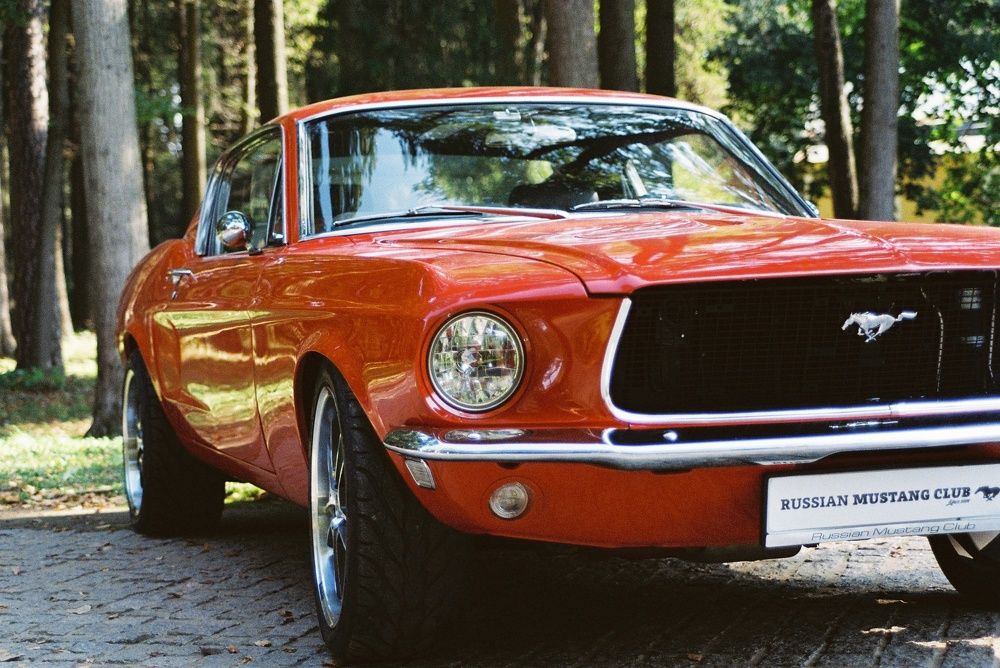 Photograph by Никита Кориков