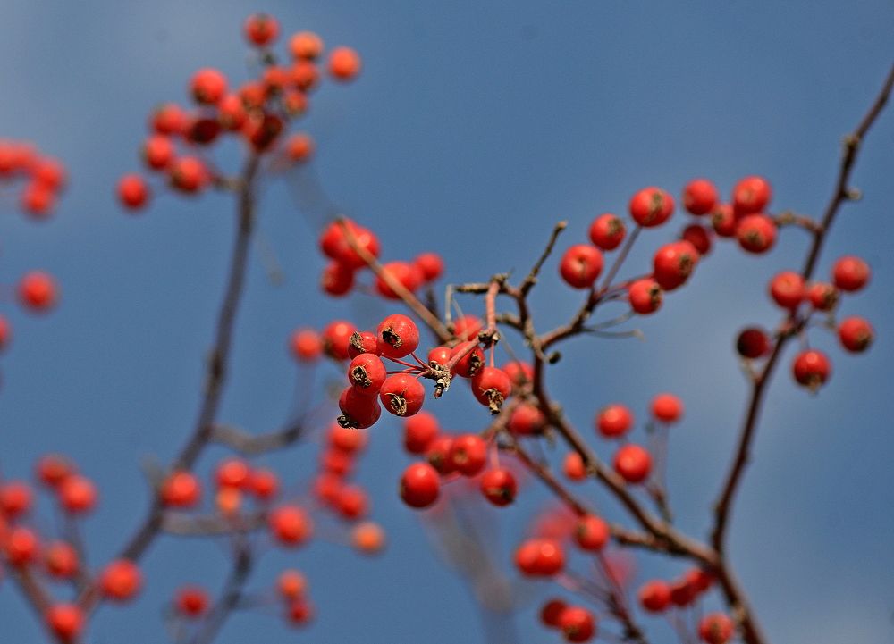 Photograph by Алексей Козлов