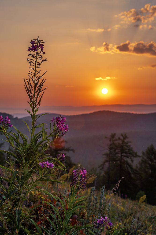 Пробуждение