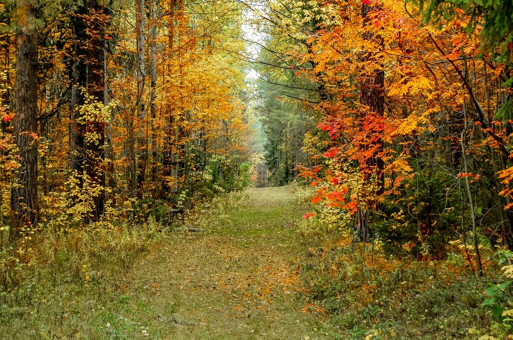 Photograph by Юрий Киреичев