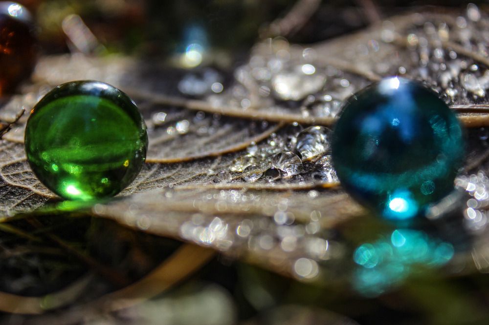 Photograph by Анастасия Чадина