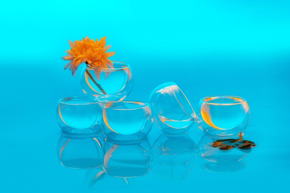 Photograph by Margarita