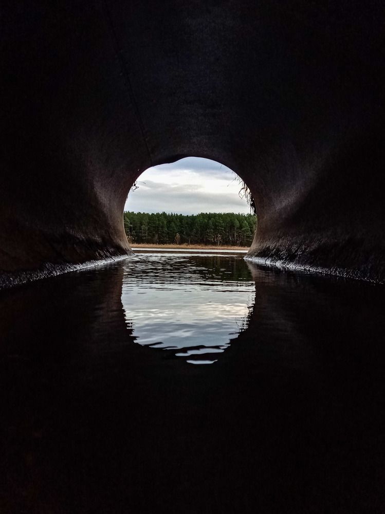 Photograph by Анастасия Чадина