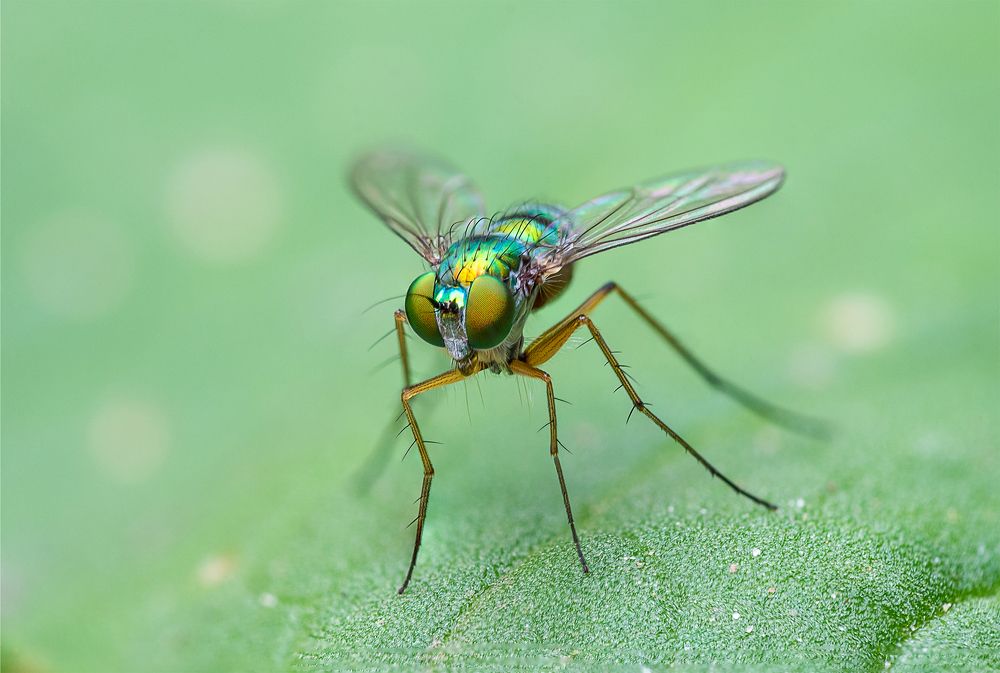 Photograph by Su Vun Lee