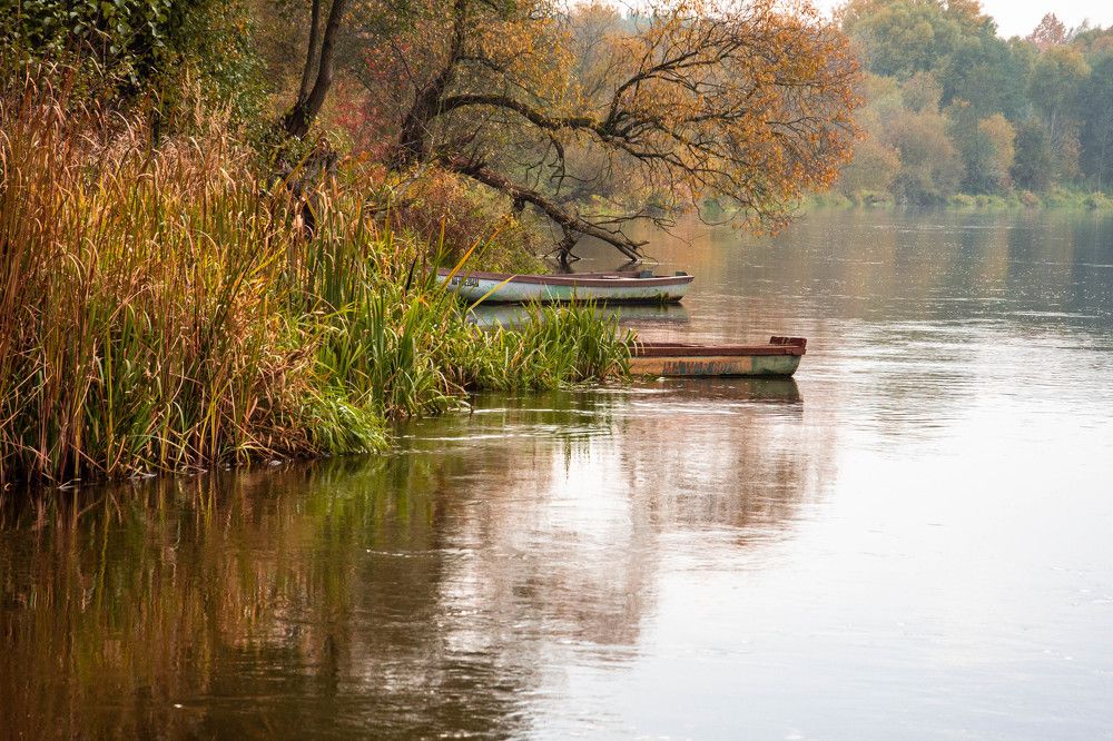 Photograph by Monika 21