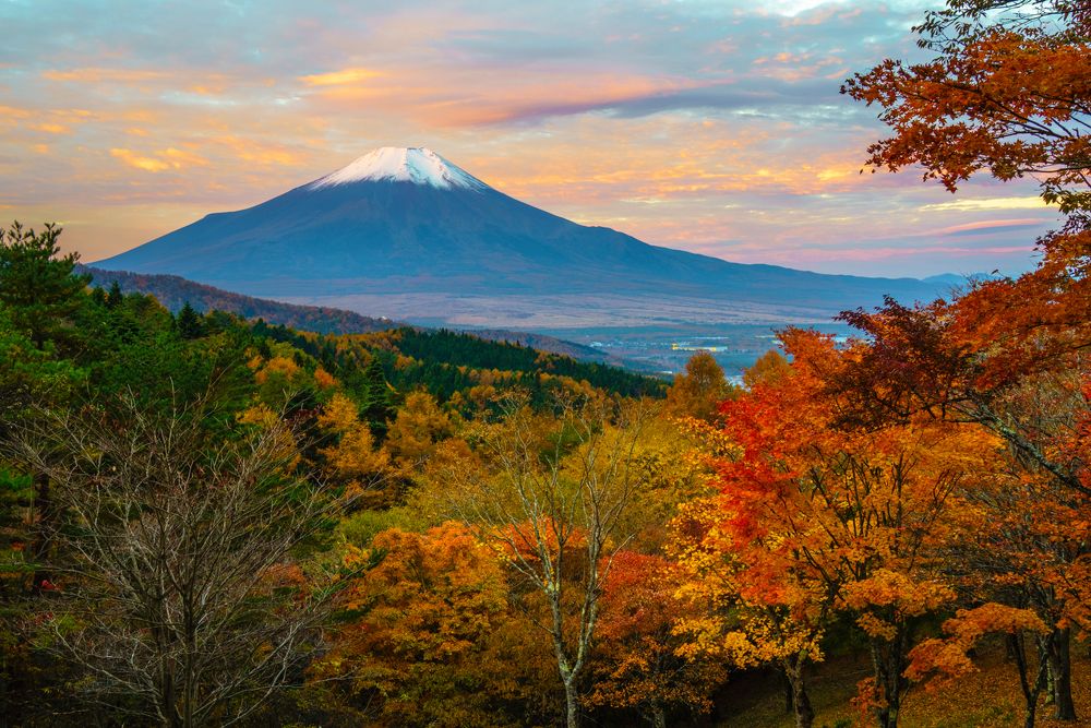 Фотография автора Takashi