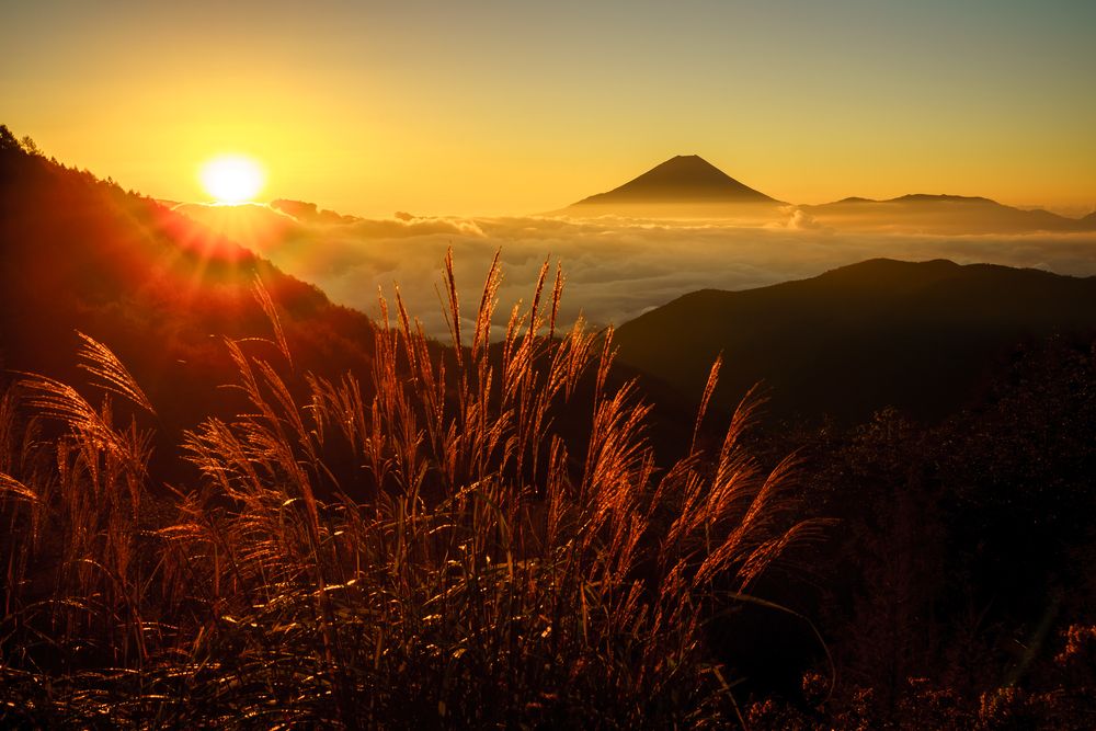 Фотография автора Takashi