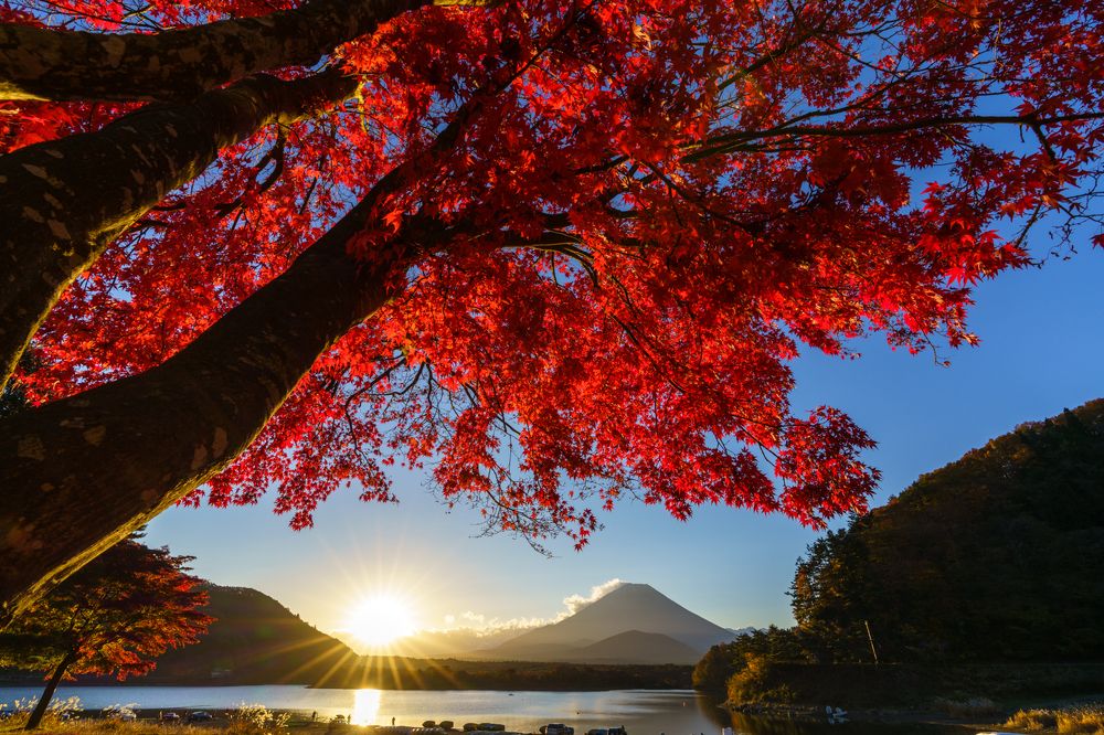 Фотография автора Takashi