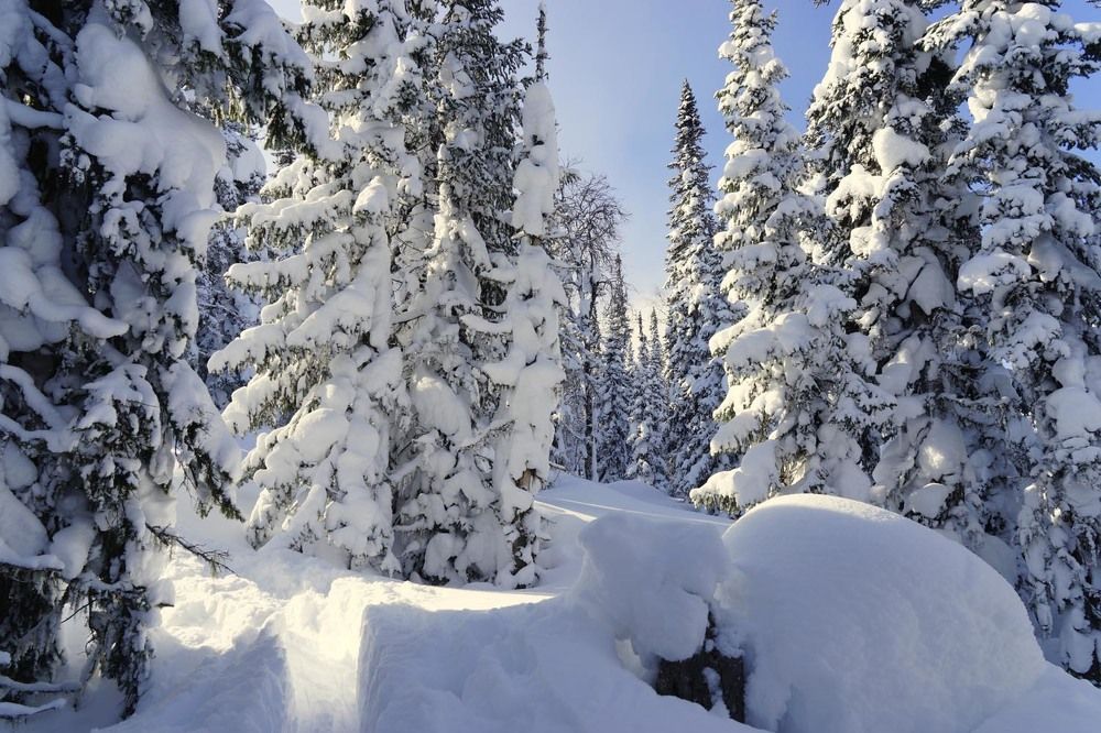 Фотография автора Татьяна Добровольская
