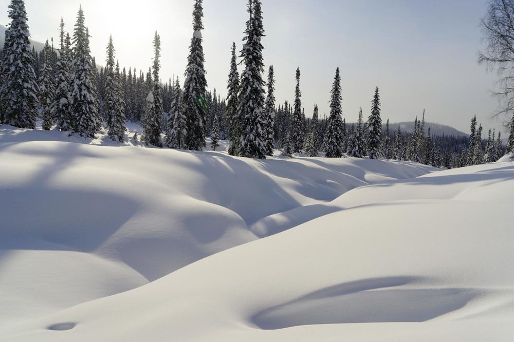 Фотография автора Татьяна Добровольская