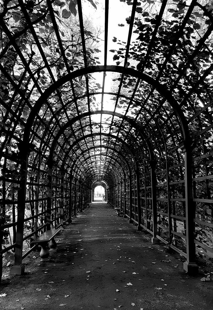 Photograph by Наталья Пагоцкая