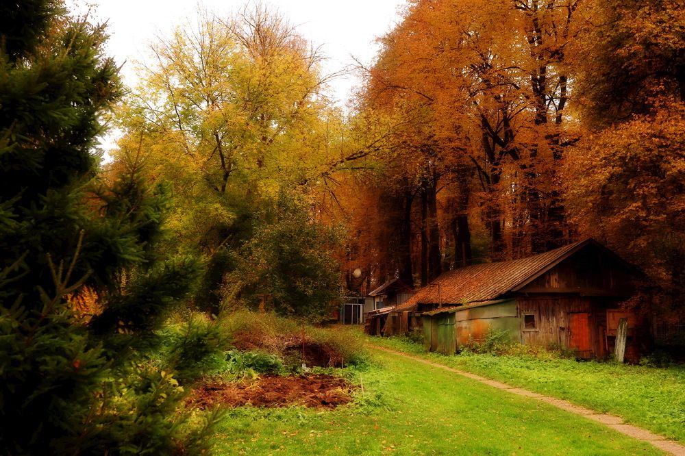 Photograph by Константин Лагоденко