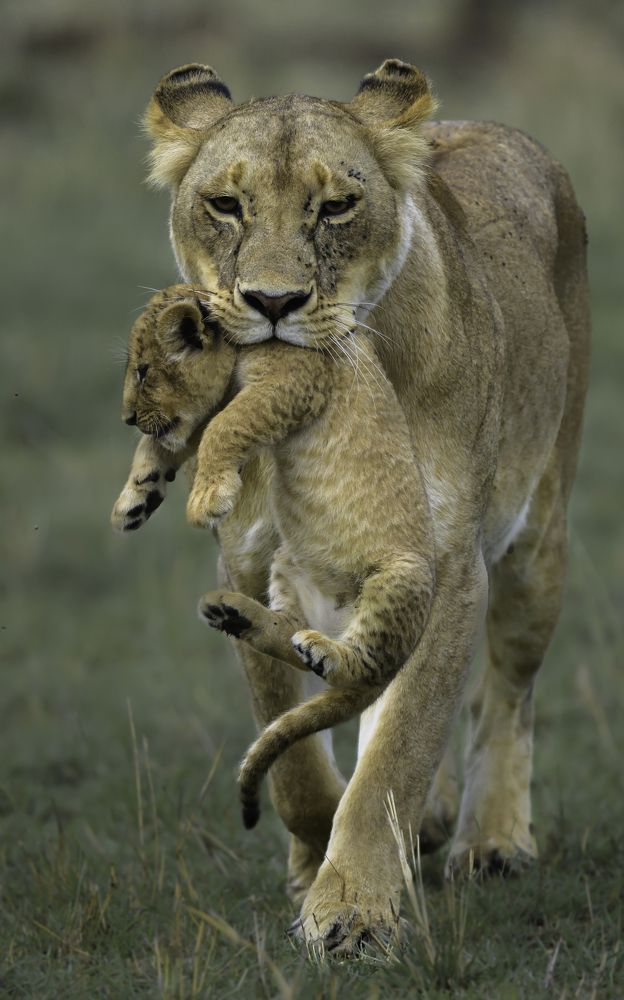 Photograph by Vignesh Ramachandran