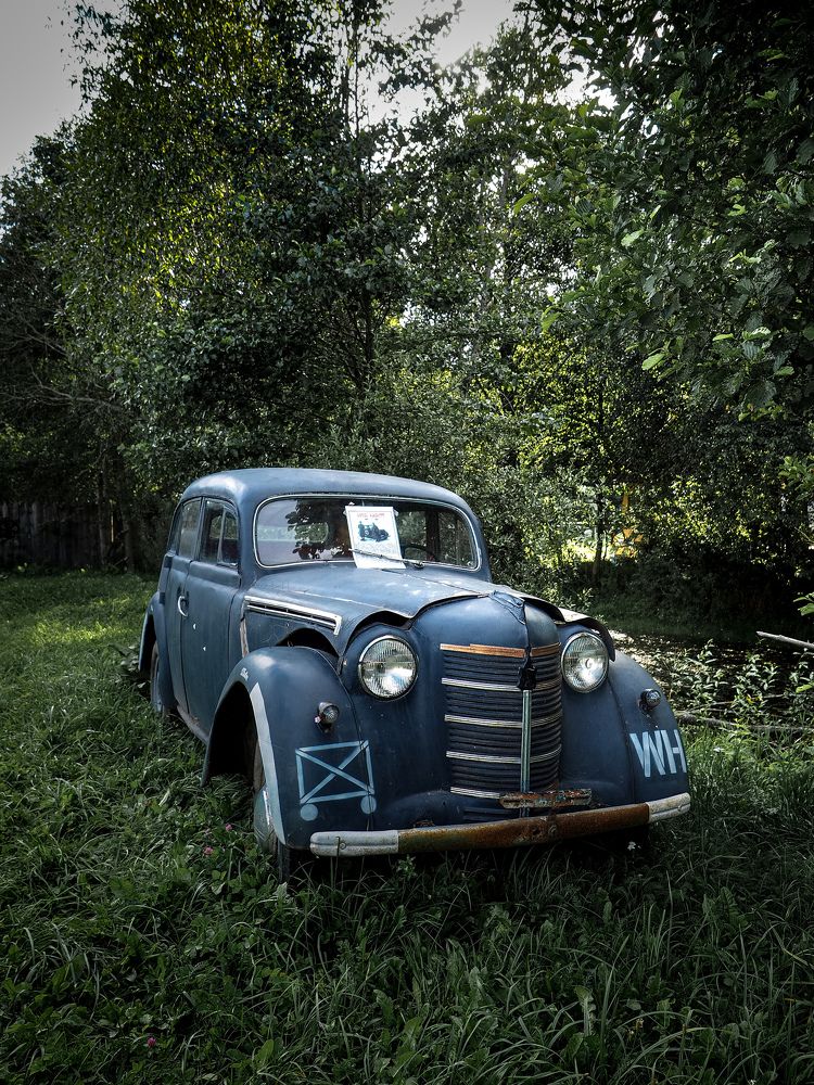 Photograph by Ольга Еженевская