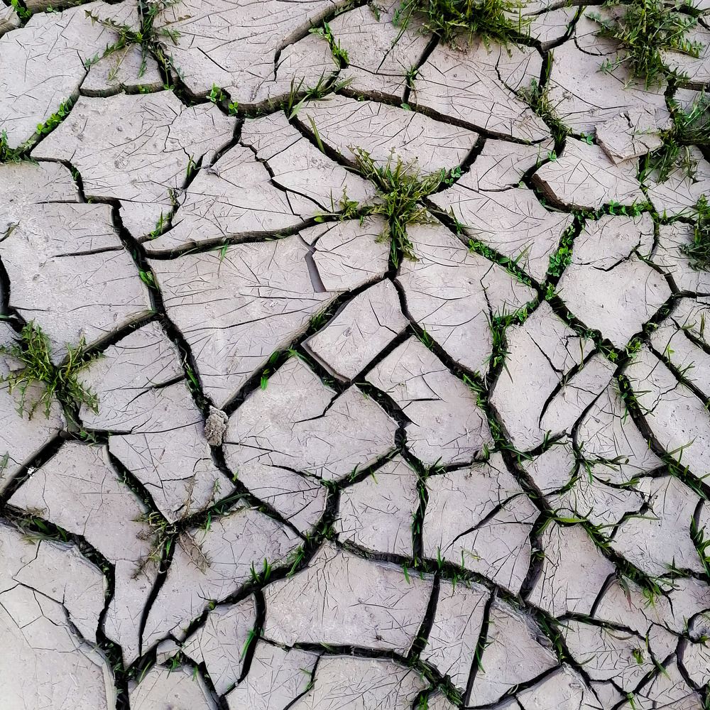 Photograph by Lamart HM