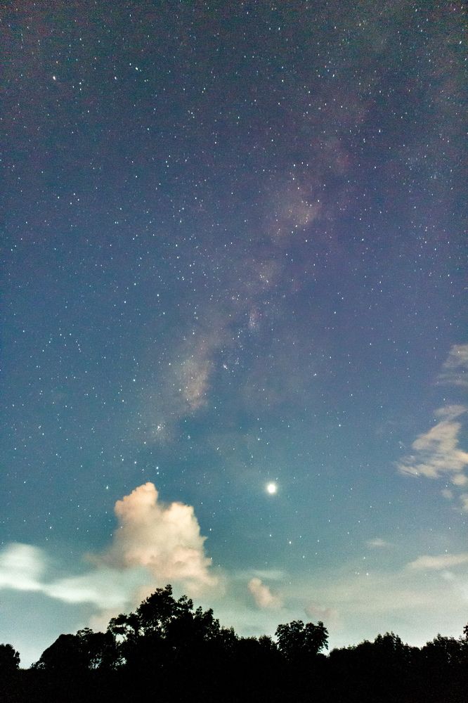 Photograph by Dat Nguyen