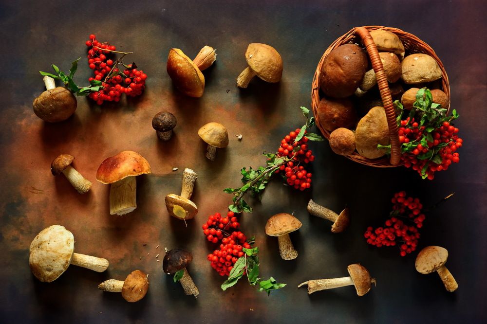 Photograph by Andrey