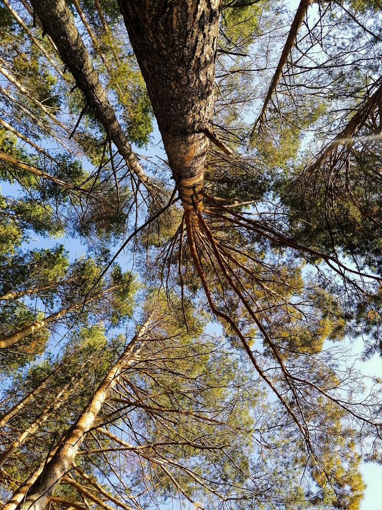 Photograph by Lamart HM