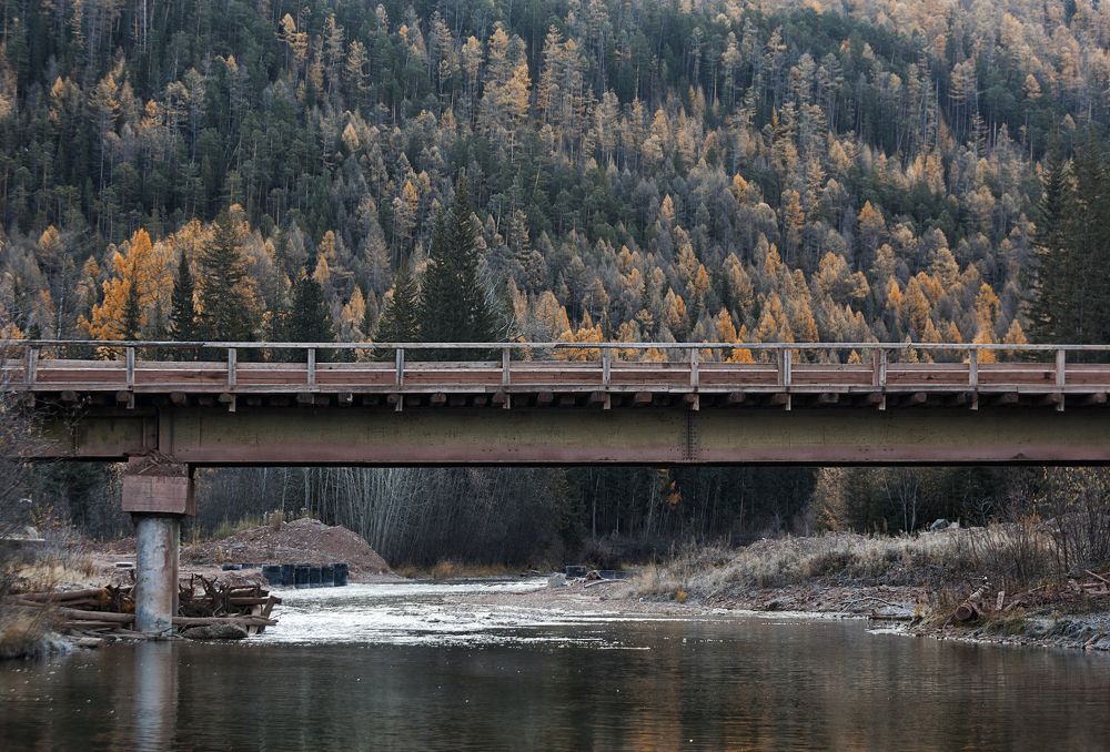 Фотография автора Лариса Кисурина