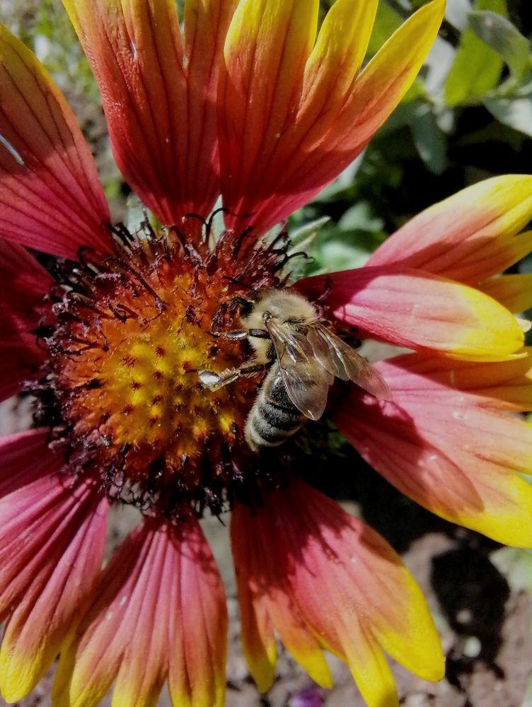 Photograph by Vesna Petkoska