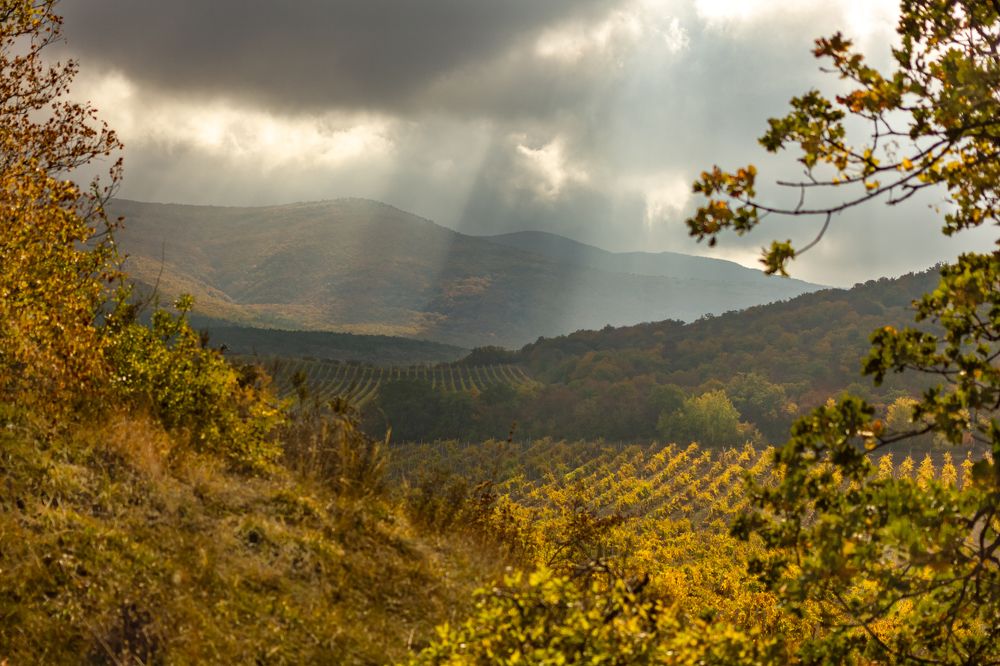 Photograph by Тина Тарасова