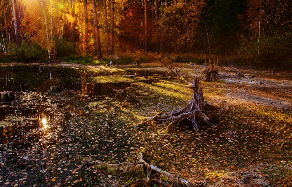 Photograph by Иван Игнатов