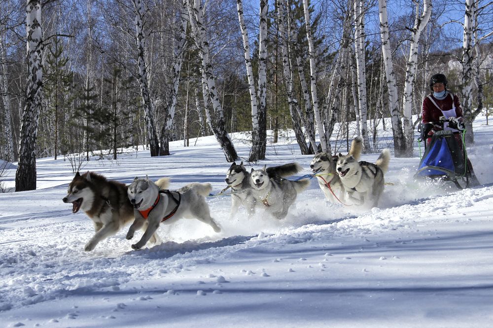 Photograph by Валерий Шорохов