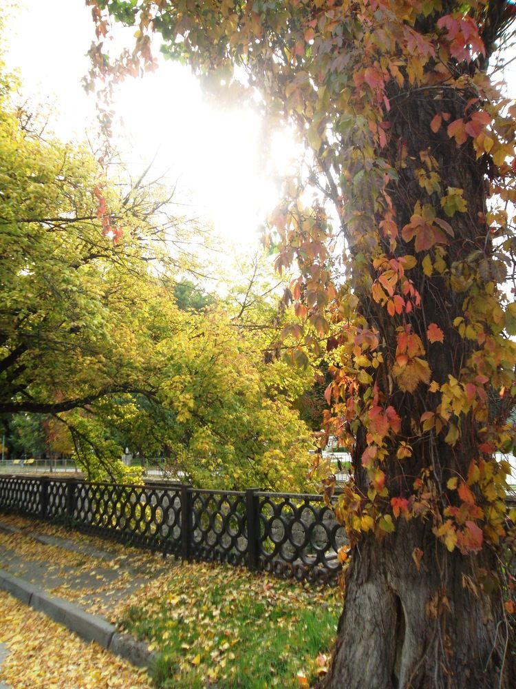 Photograph by Olga Vatkova