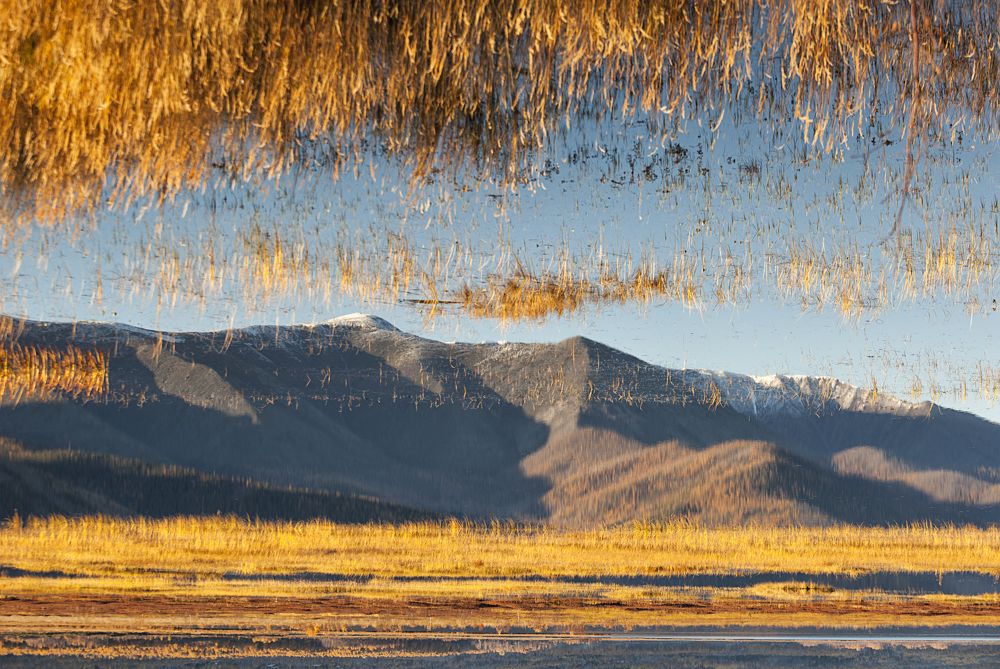 Фотография автора Лариса Кисурина