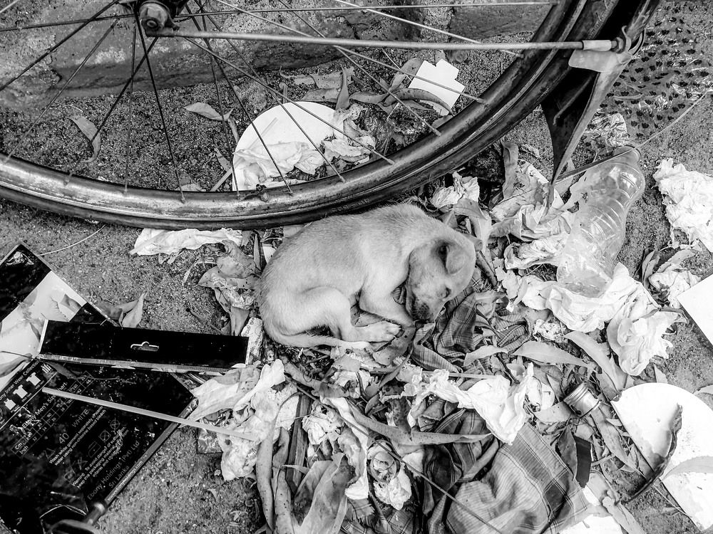 Photo #6633808