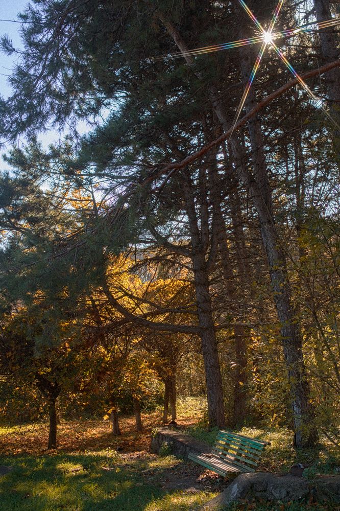 Photograph by Алена Спивак