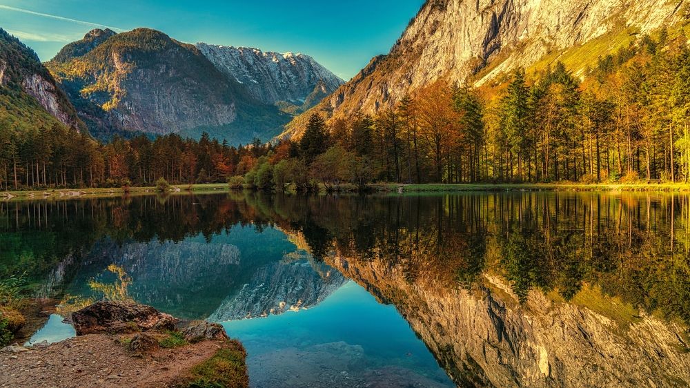 Фотография автора ROMAN Wieckowski