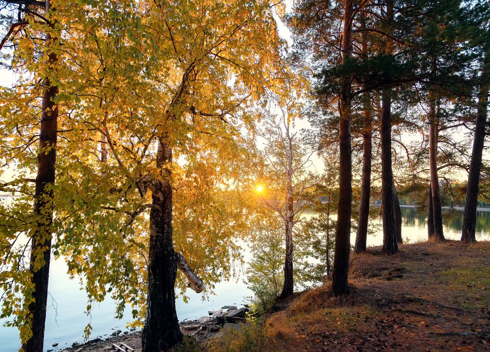 Photograph by Александр Кривошеин